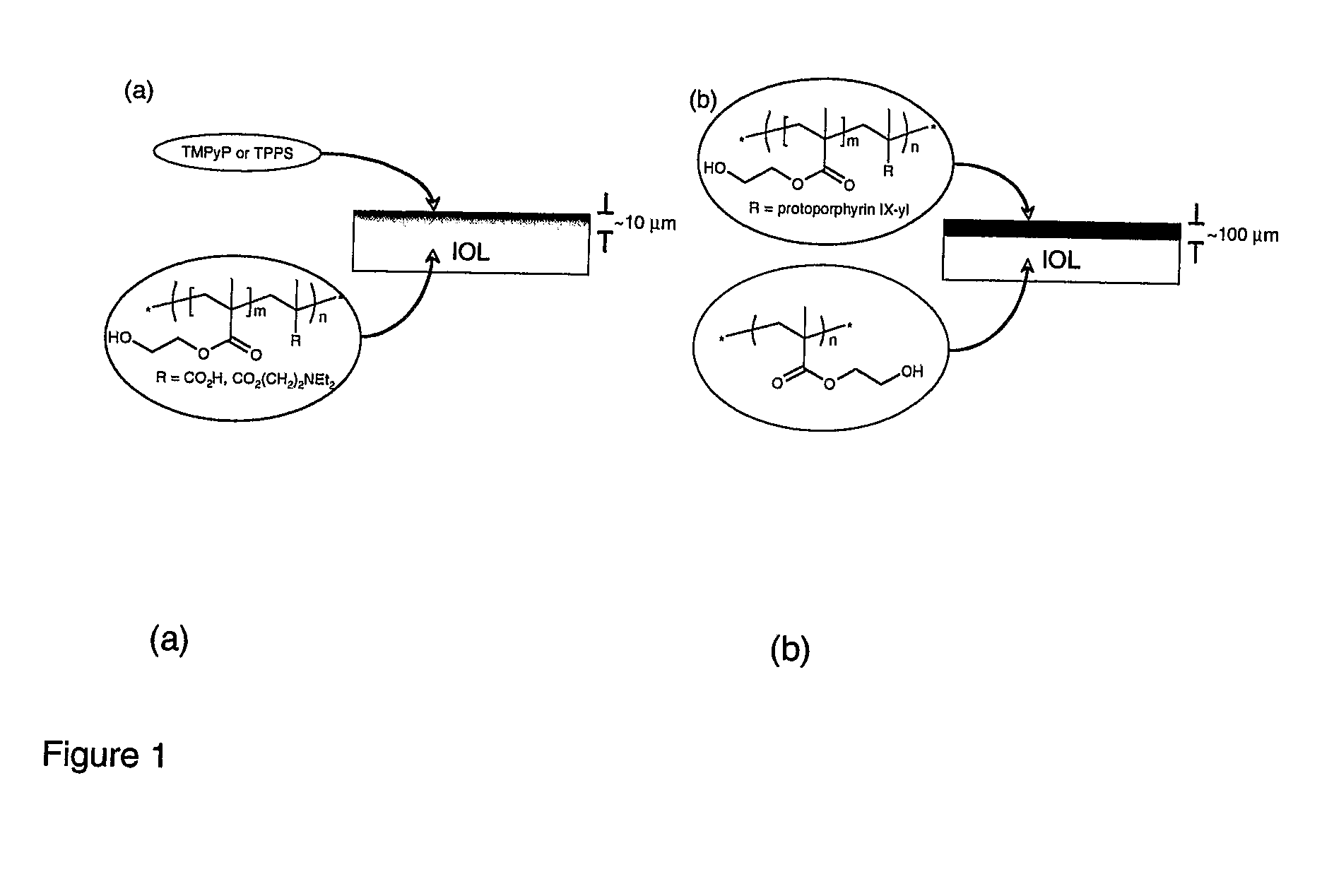 Material and uses thereof