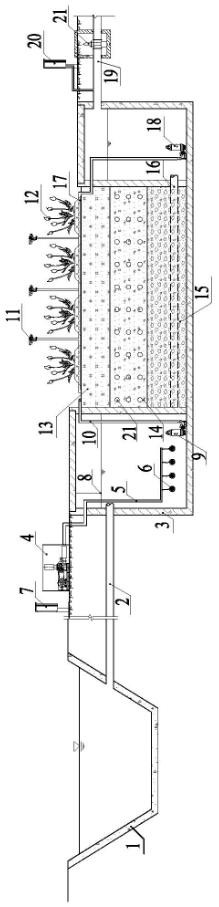 Purification treatment system for tail water of sewage plant and construction method of purification treatment system