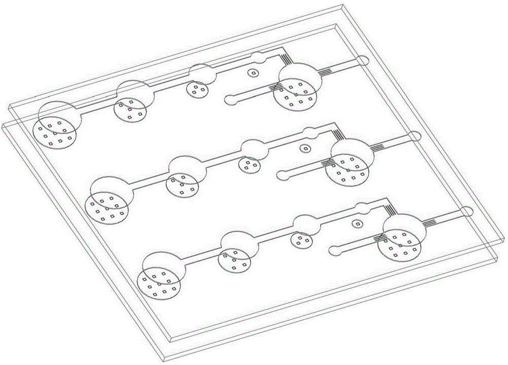 Microfluidic chip for instantly detecting EGFR (epidermal growth factor receptor) mutation