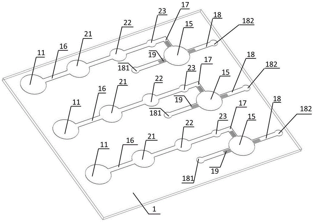 Microfluidic chip for instantly detecting EGFR (epidermal growth factor receptor) mutation