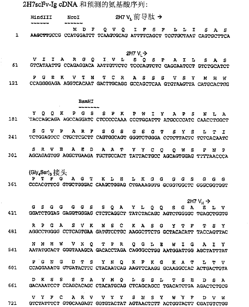 Binding constructs and methods for use thereof