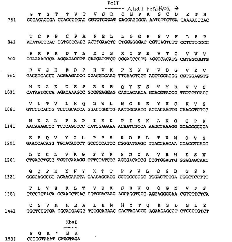 Binding constructs and methods for use thereof