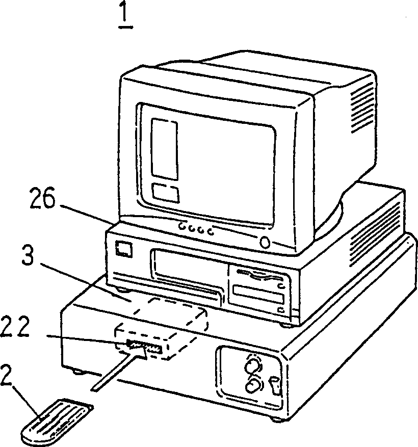 Method for detecting single nucleotide polymorphism (SNP) and point mutation in gene, detection apparatus and detection chip