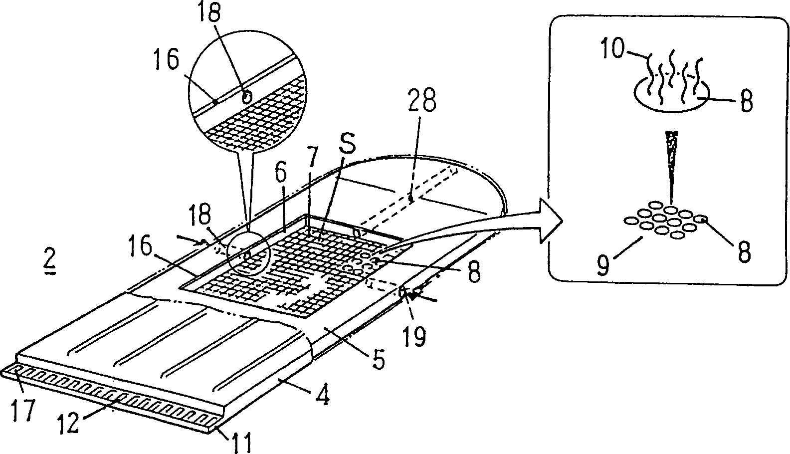 Method for detecting single nucleotide polymorphism (SNP) and point mutation in gene, detection apparatus and detection chip