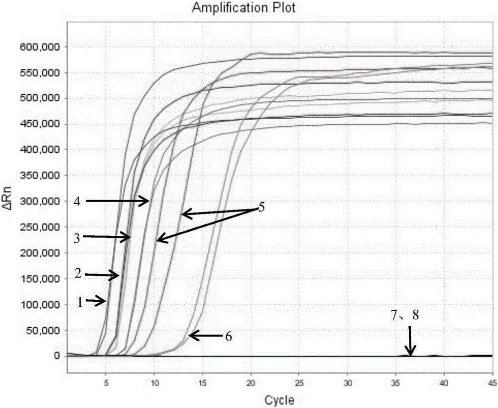 Salmonella constant-temperature fluorescent detection primer combination capable of avoiding false negative, reagent kit and detection method