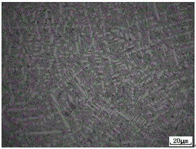 An amorphous/nanocrystalline matrix high-hardness wear-resistant and corrosion-resistant alloy and its preparation method