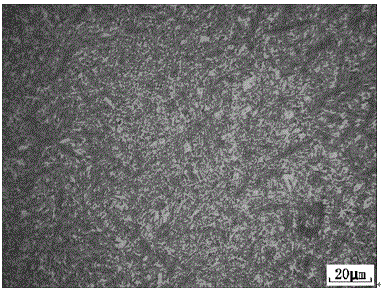 An amorphous/nanocrystalline matrix high-hardness wear-resistant and corrosion-resistant alloy and its preparation method