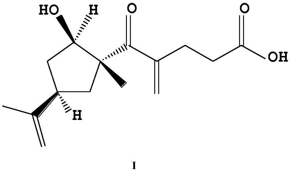 Composition and application of composition to medicine for increasing white blood cells