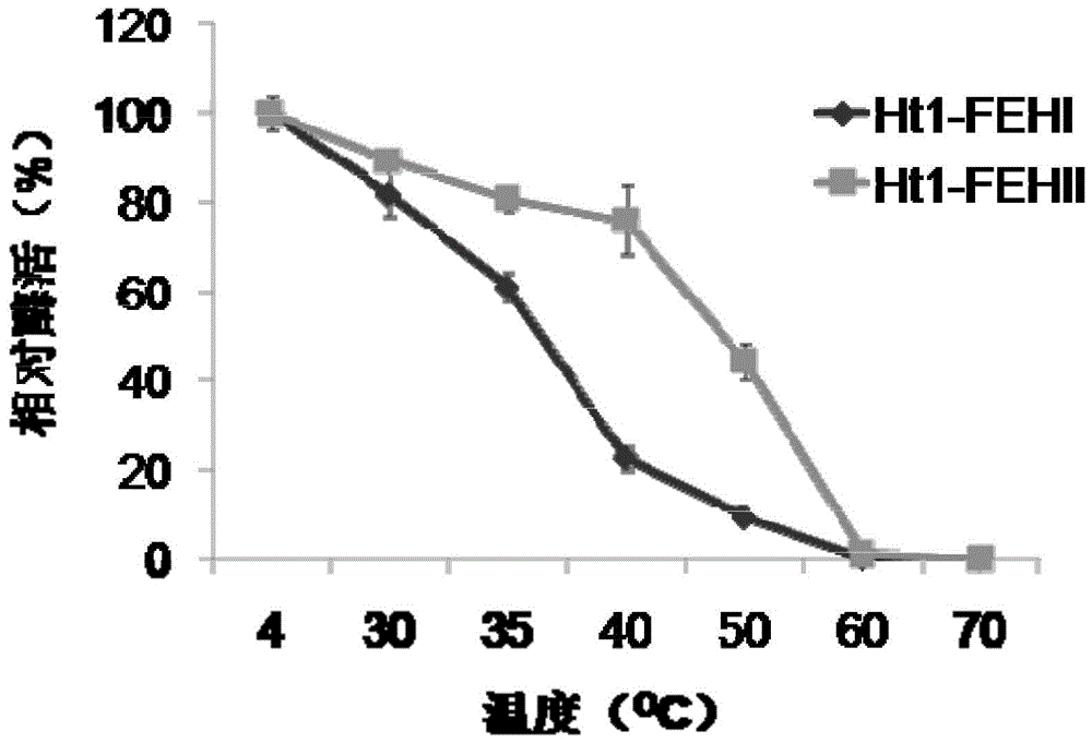 Recombinant vector containing Jerusalem artichoke fructan 1-exohydrolase gene and application thereof in producing alcohol by fermentation