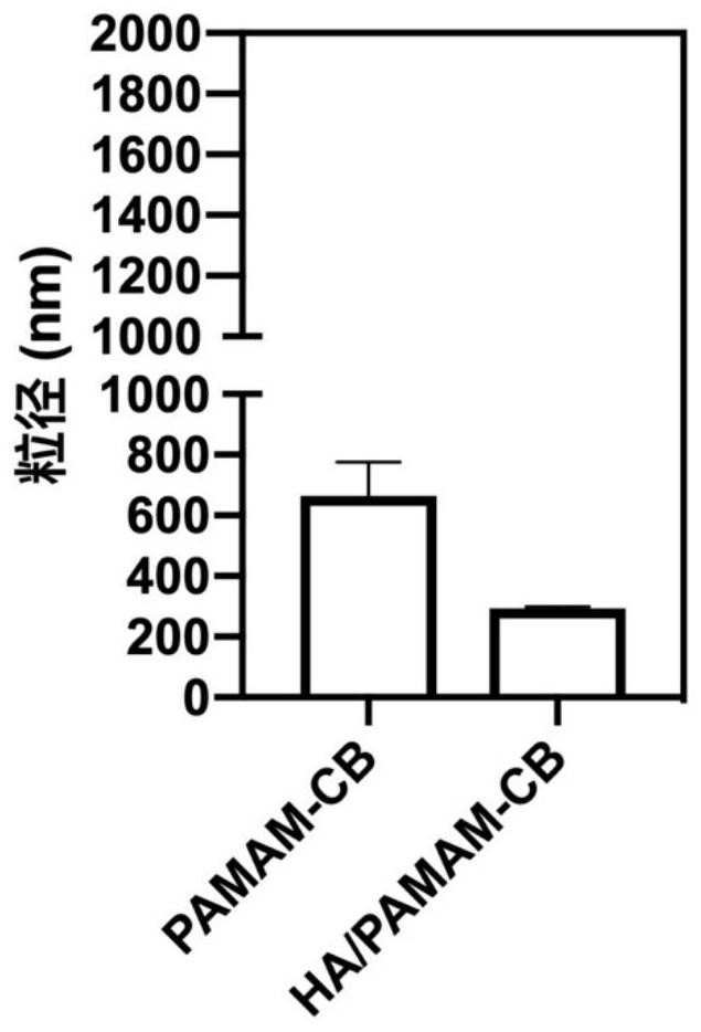 A kind of boron-containing preparation with cell nucleus targeting and its preparation method and application