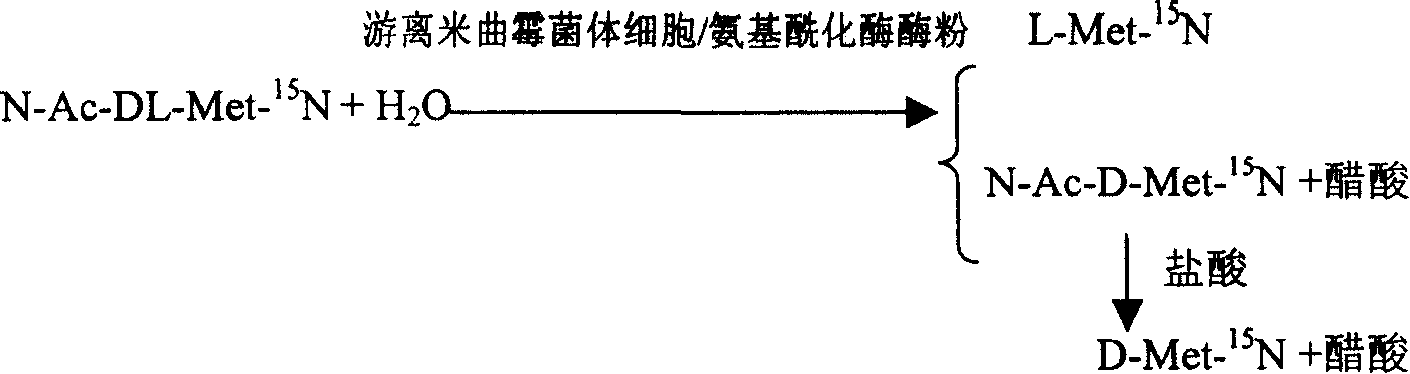 Enzyme method for detaching and preparing L-methionine-15N and D-methionine-15N