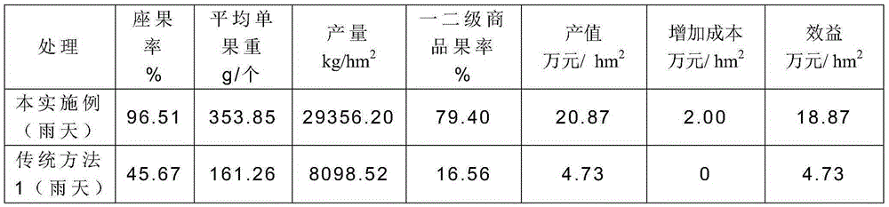 Tree body management method for increasing yield of red pulp type pitaya