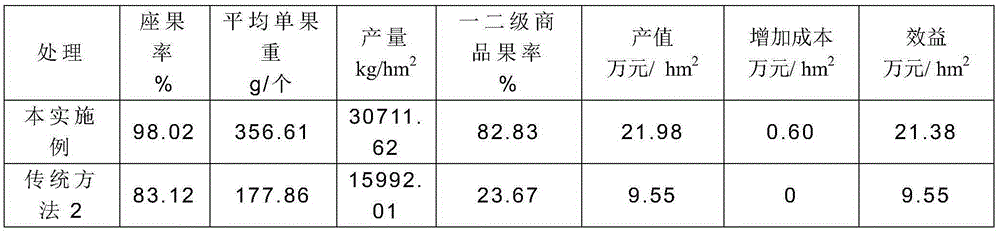 Tree body management method for increasing yield of red pulp type pitaya