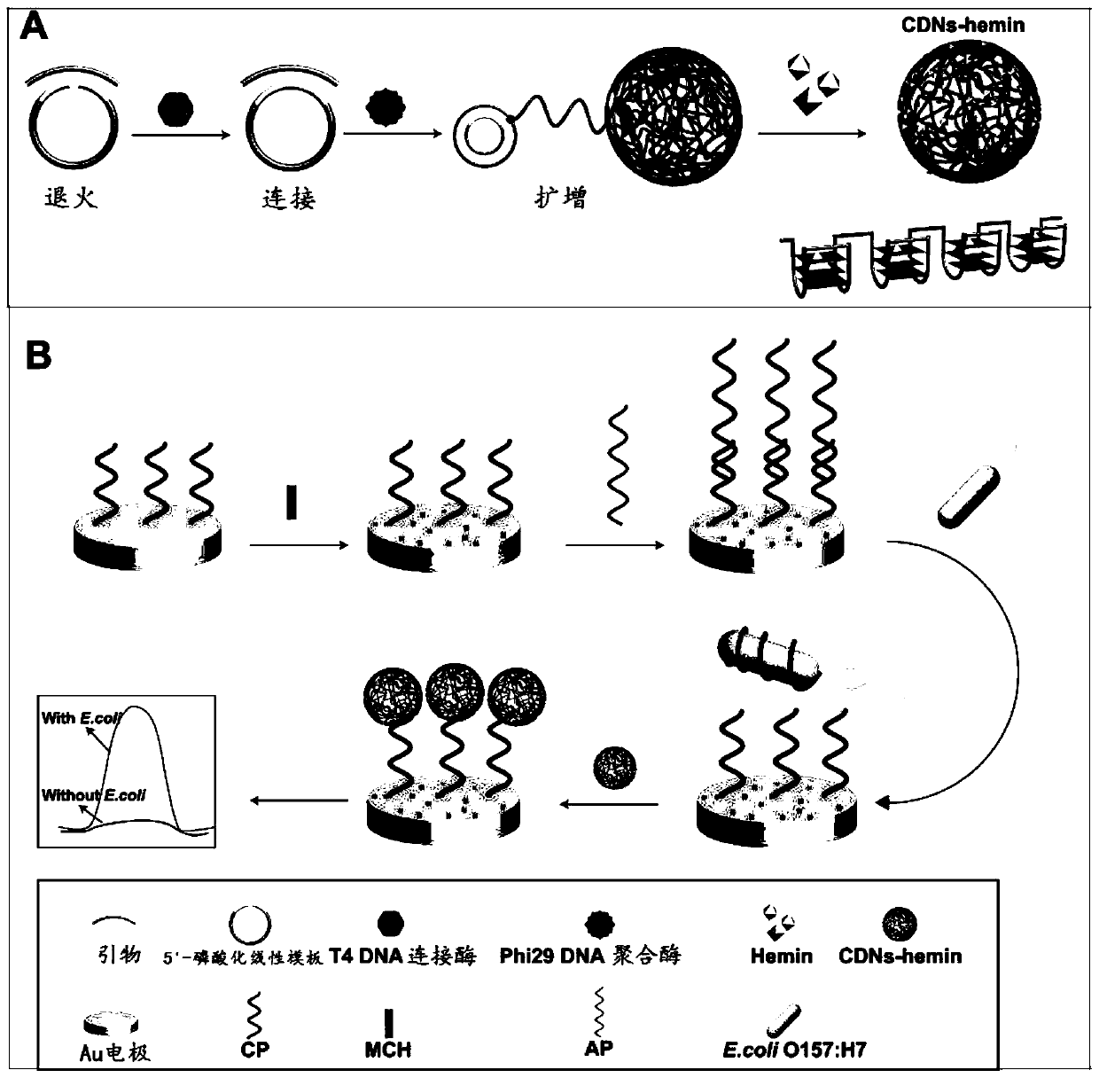 DNA nanostructure, electrochemical aptamer biosensor system and preparation method and application of electrochemical aptamer biosensor system