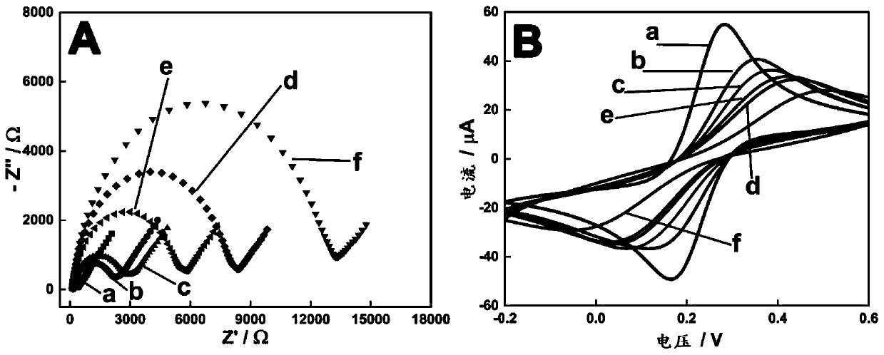 DNA nanostructure, electrochemical aptamer biosensor system and preparation method and application of electrochemical aptamer biosensor system