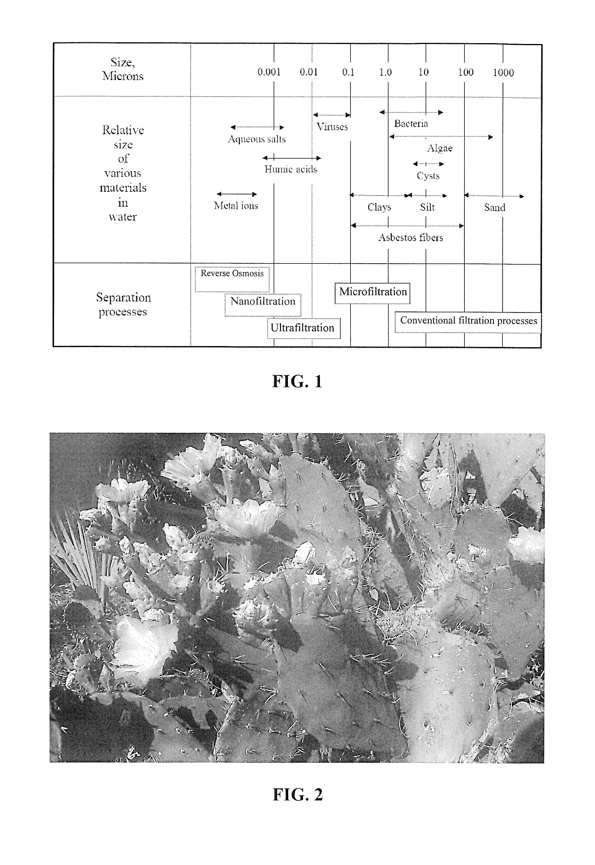 Electrospun cactus mucilage nanofibers