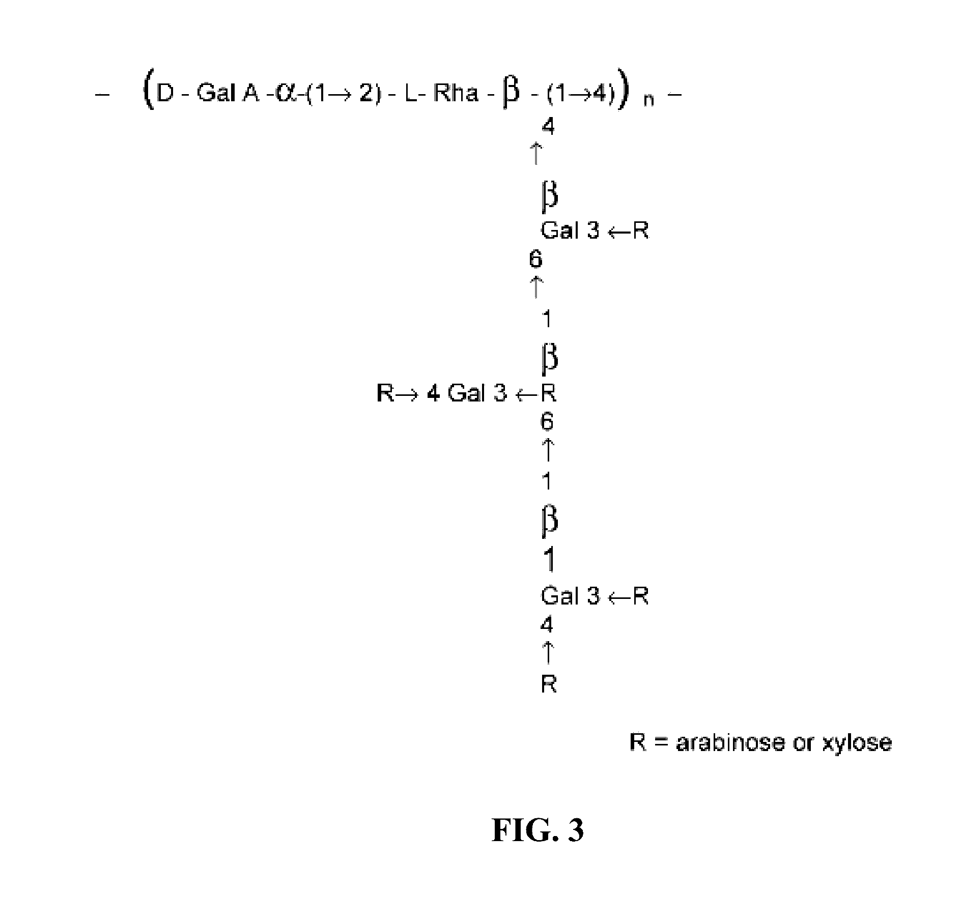 Electrospun cactus mucilage nanofibers