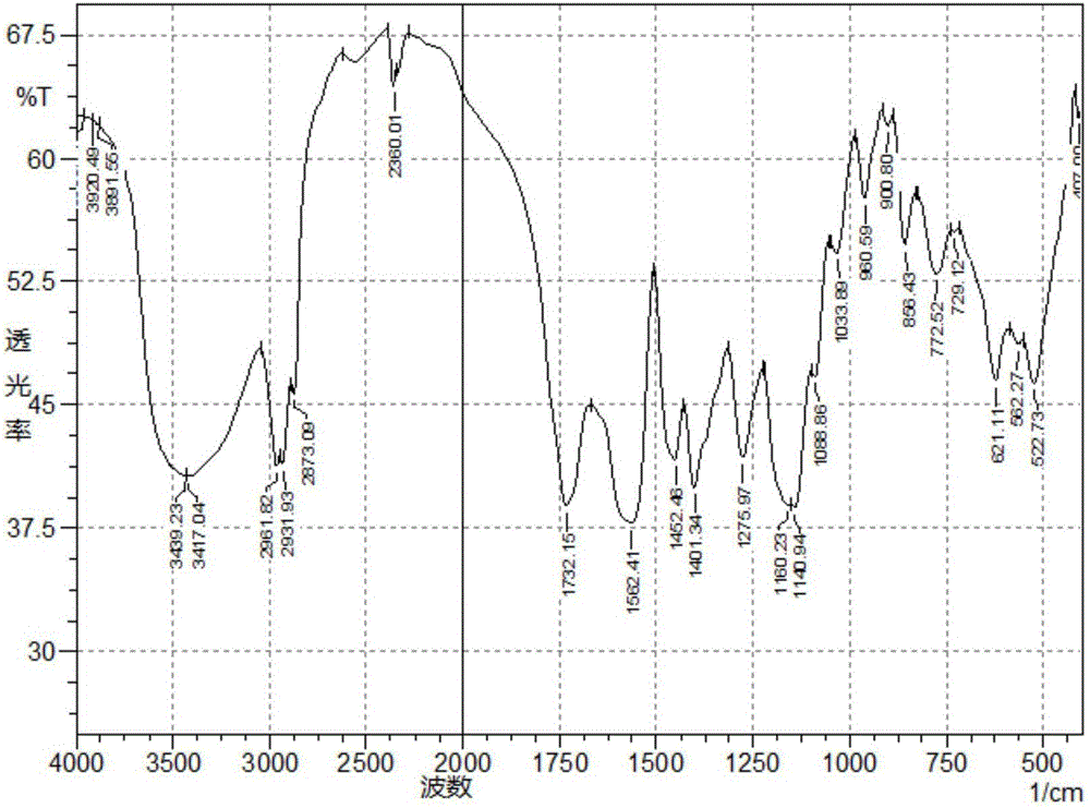 Amphiphilic copolymer dispersant, preparation method and application