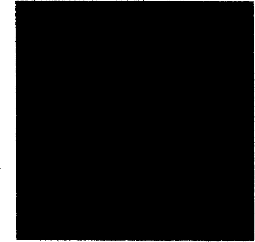 Method for preparing carbon nano-tube array on particle interior surface