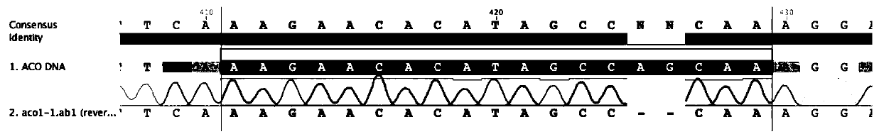 Method for changing cucumber tendril traits