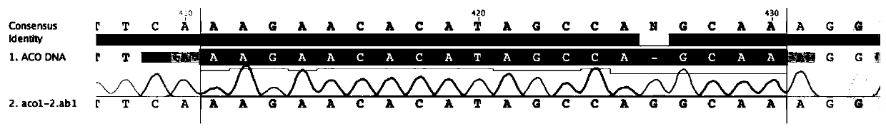 Method for changing cucumber tendril traits