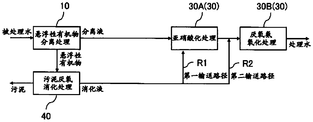 Processing system and processing method for nitrogen-containing organic waste water