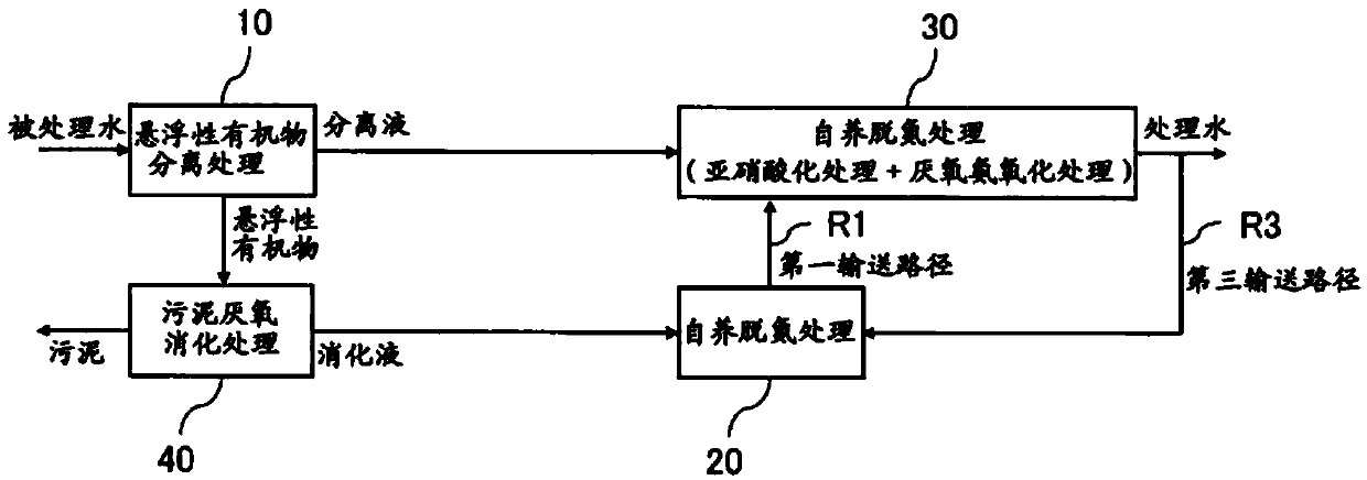 Processing system and processing method for nitrogen-containing organic waste water