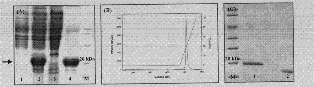 Protein product reuse method