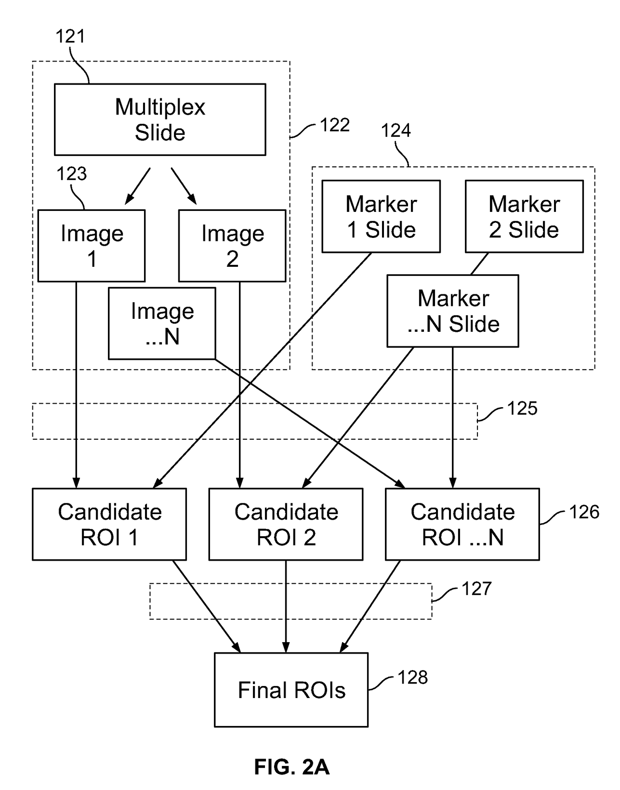 Systems and methods for co-expression analysis in immunoscore computation