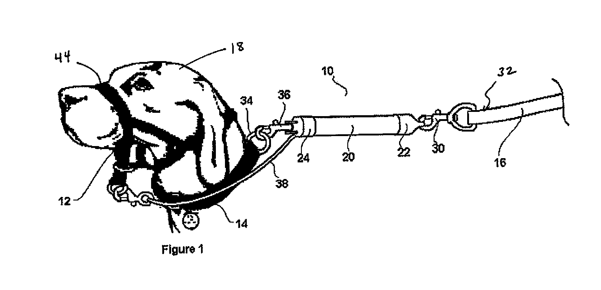 Animal training device