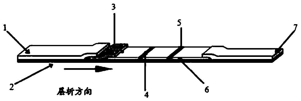 Colloidal gold detection card for quickly detecting rabbit hemorrhagic disease virus (RHDV) and preparation method thereof