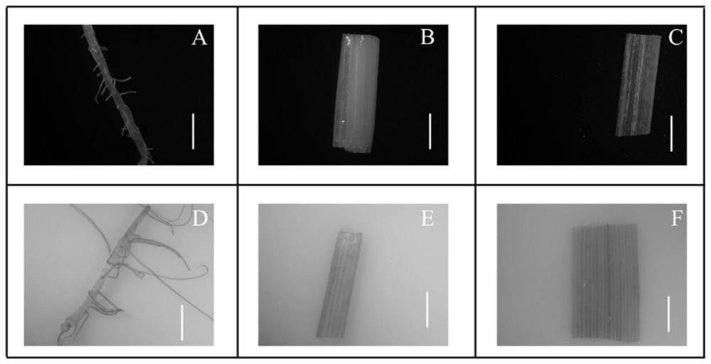 A rice exogenous stress-induced expression promoter psubs3 and its application