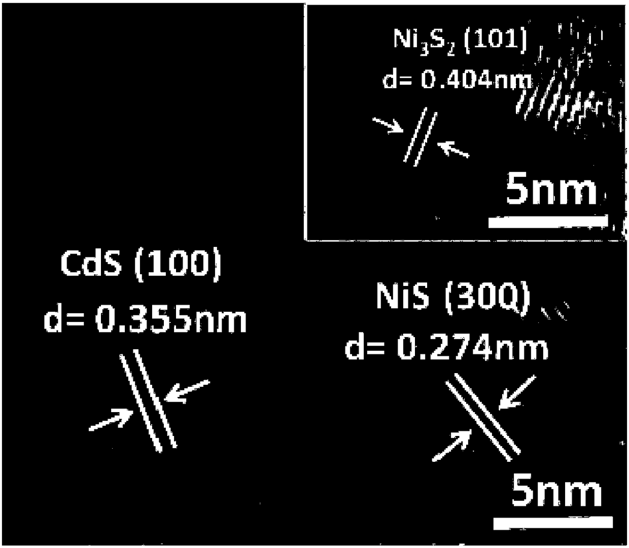 A kind of preparation method of self-supporting photoanode