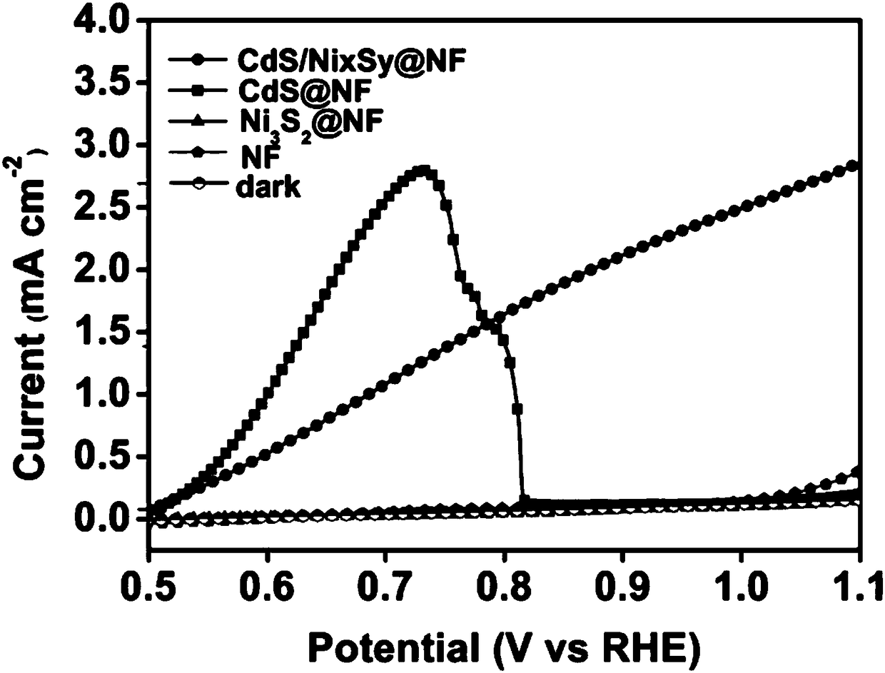 A kind of preparation method of self-supporting photoanode