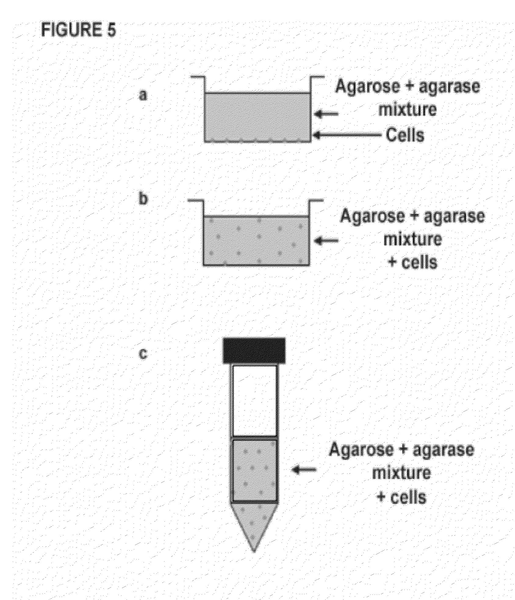 Cell transport system