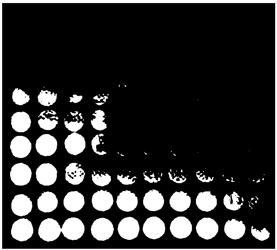 Method for characterizing surface micro-corrosion characteristics of low carbon steel coated with enamel layer by using wire beam electrode