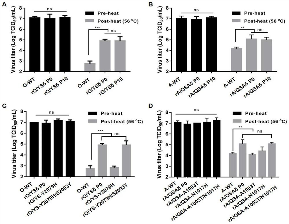 Heat-resistant phenotype stable inheritance, avirulent strain of recombinant foot-and-mouth disease virus carrying negative markers and bivalent inactivated vaccine of type o/a foot-and-mouth disease