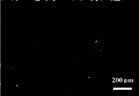 ZnO-based film and preparation method thereof