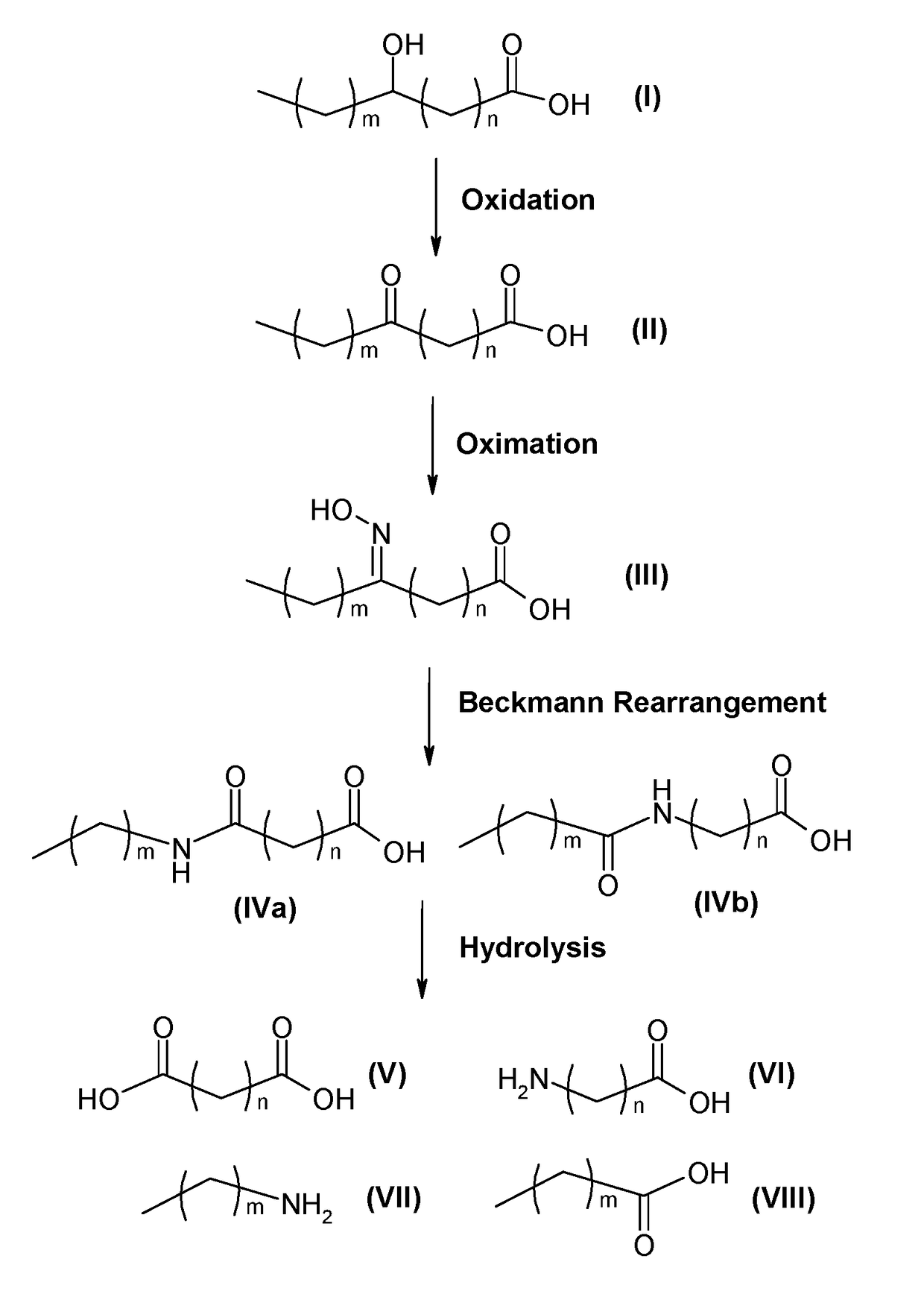 Process for producing long chain amino acids and dibasic acids