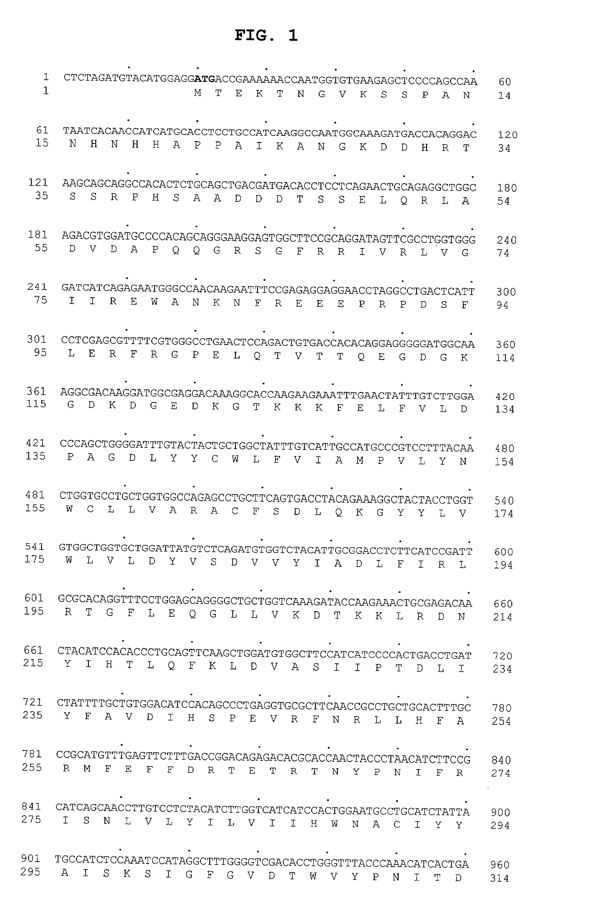 Nucleic acid molecules and polypeptides for a human cation channel polypeptide