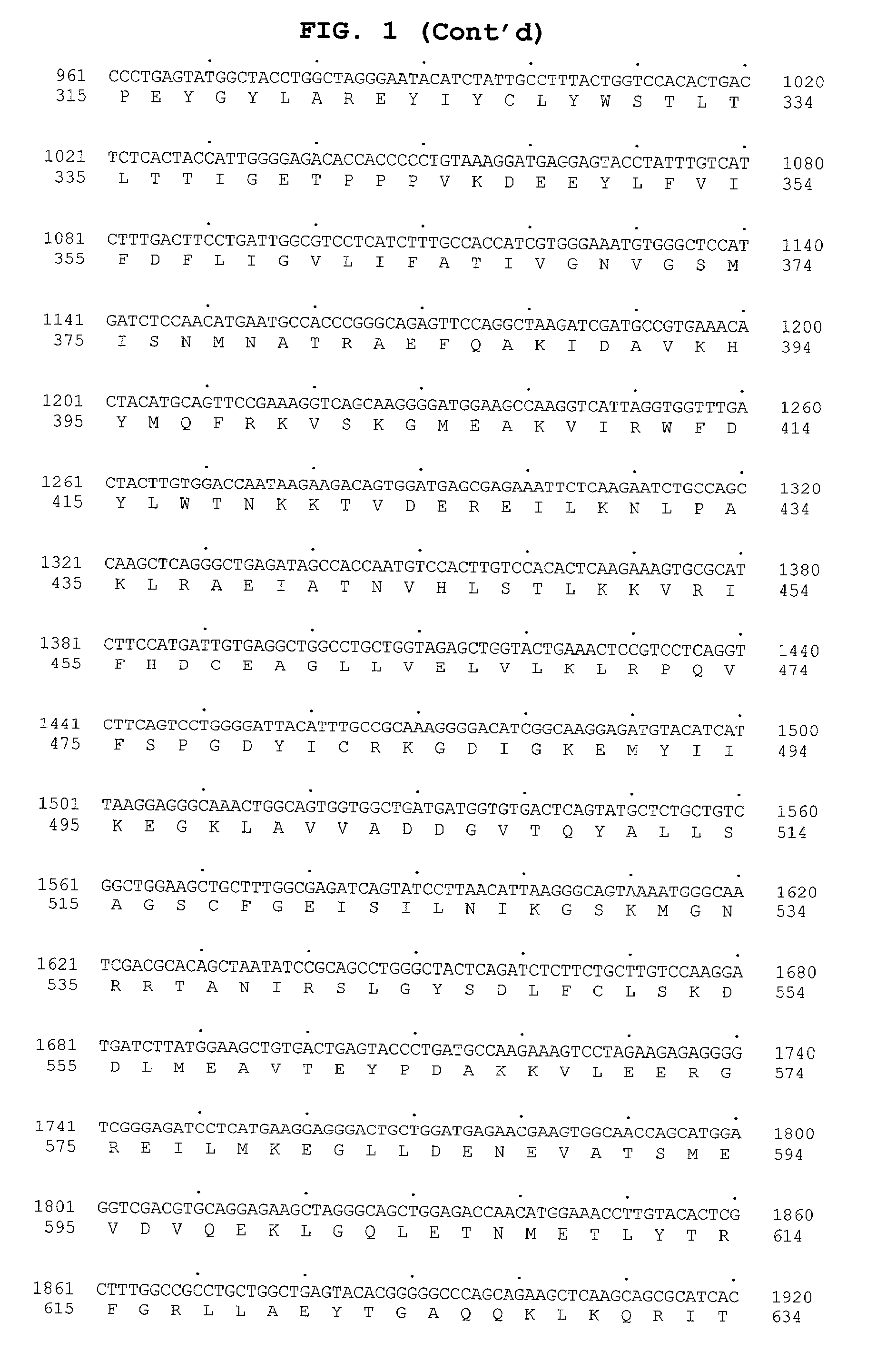 Nucleic acid molecules and polypeptides for a human cation channel polypeptide