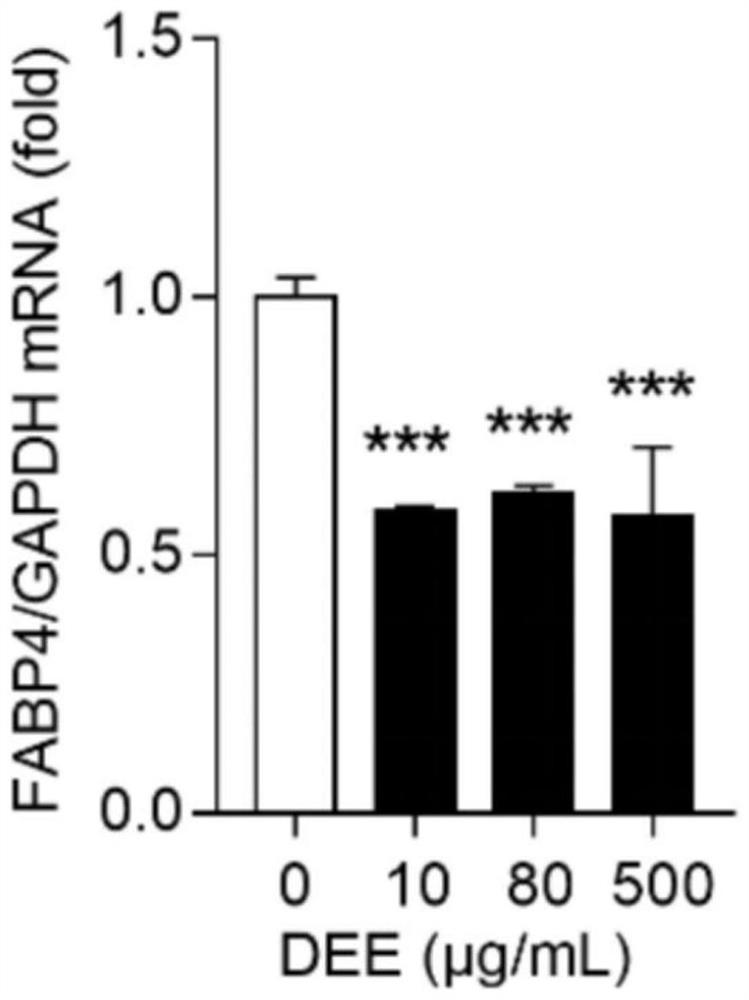 Preparation method of dry dendrobium alcohol extract for spontaneous hypertension