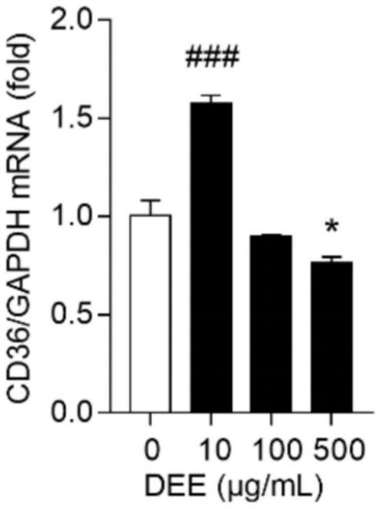 Preparation method of dry dendrobium alcohol extract for spontaneous hypertension