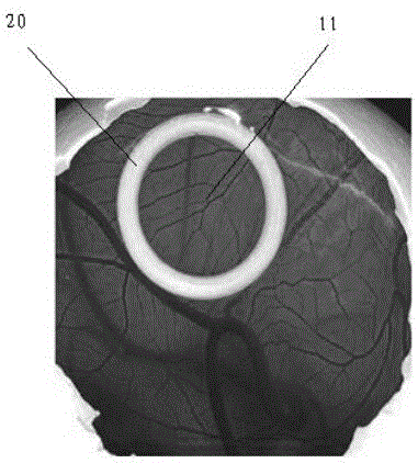 Method for detecting cosmetic and raw materials of cosmetic