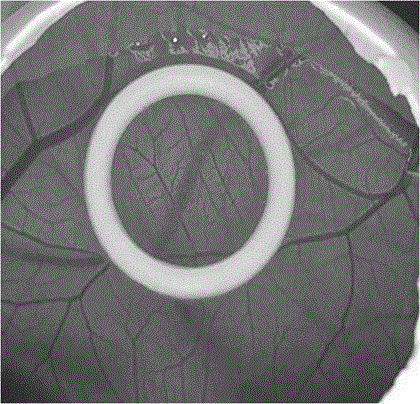 Method for detecting cosmetic and raw materials of cosmetic