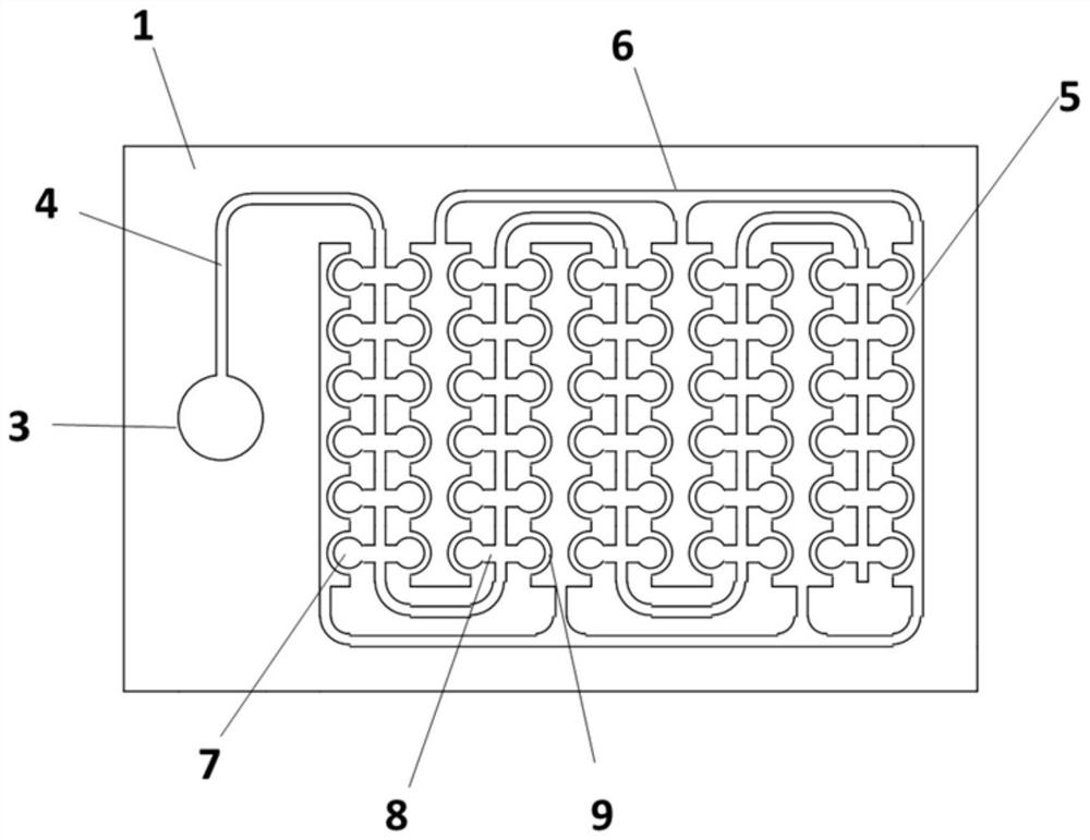 Nucleic acid multiple detection micro-fluidic chip capable of realizing automatic sample feeding