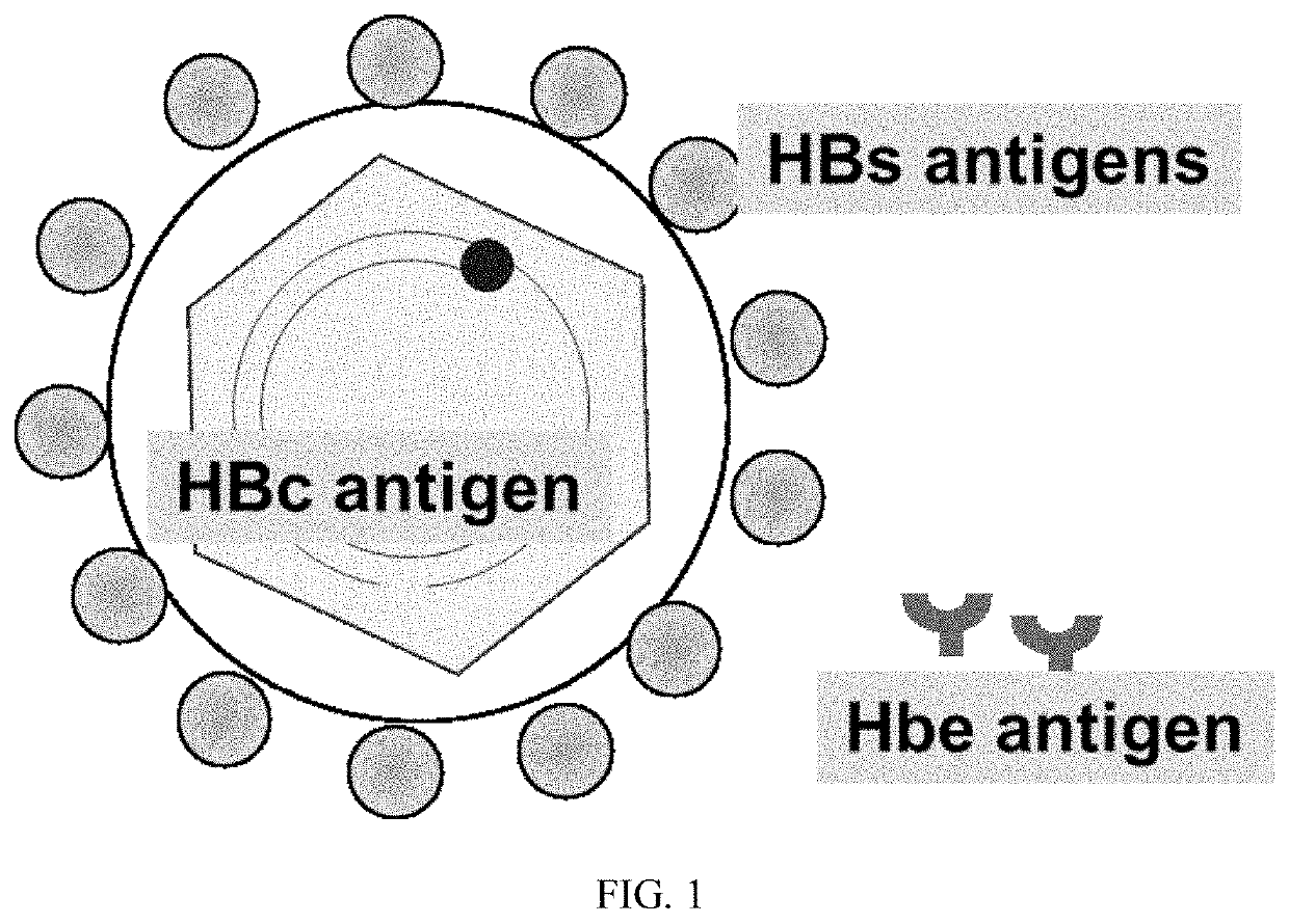 Hepatitis b vaccine