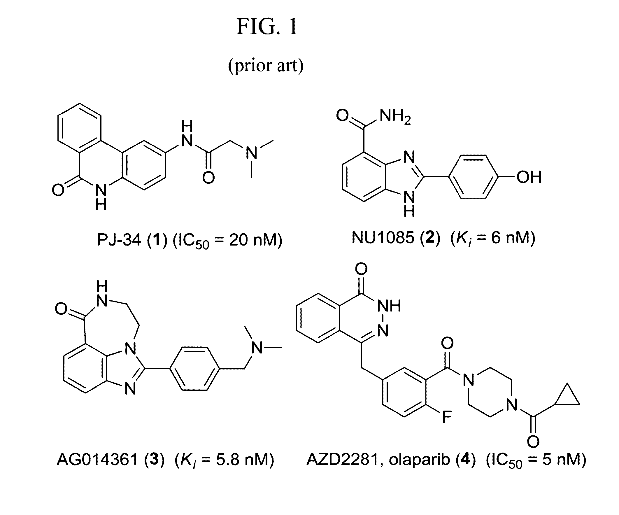 Radiolabeled tracers for poly (adp-ribose) polymerase-1 (parp-1), methods and uses therefor