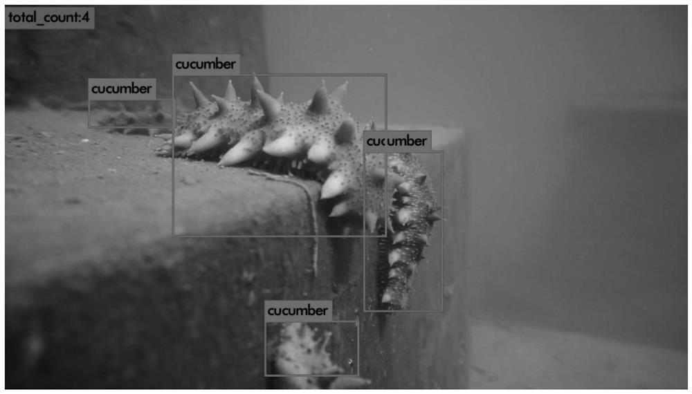 Recognition method of rov deformation small target based on convolution kernel screening ssd network