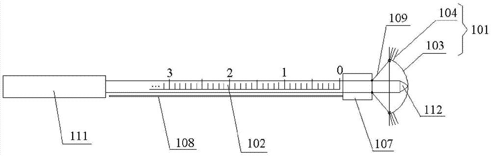 Experimental device for vascular intima injury in experimental animals